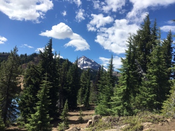 Trail view with North Sister in the background