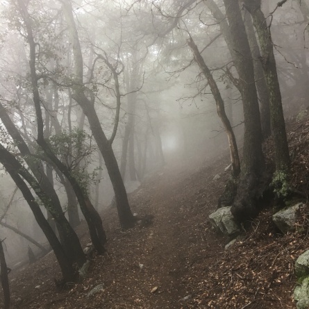 Misty Sturtevant Trail