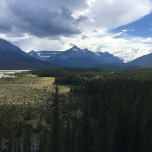 View off Trans Canada Highway