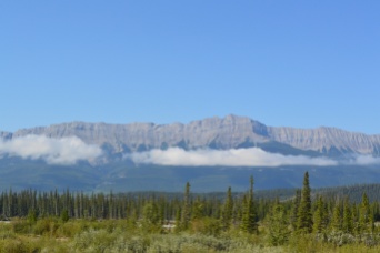 View from Athabasca River